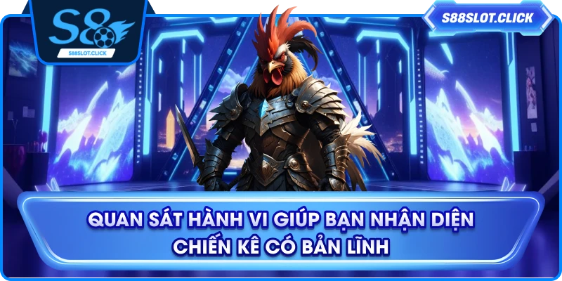 Quan sát hành vi giúp bạn nhận diện chiến kê có bản lĩnh